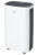Осушитель воздуха ROYAL Clima CARISMA Loft RD-CR16-E